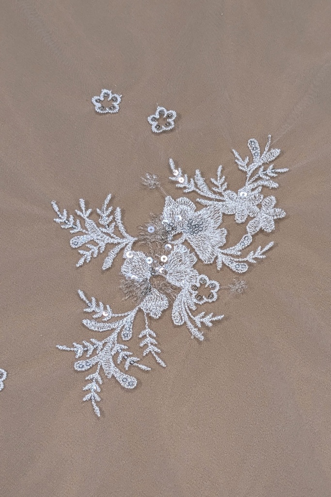 G448 ( 1N g448 , 2Ng g448)